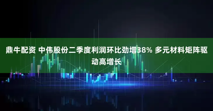 鼎牛配资 中伟股份二季度利润环比劲增38% 多元材料矩阵驱动高增长