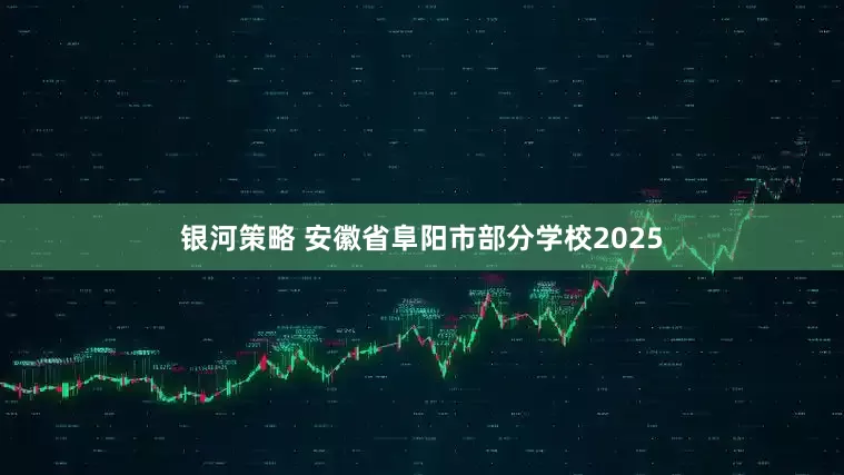 银河策略 安徽省阜阳市部分学校2025